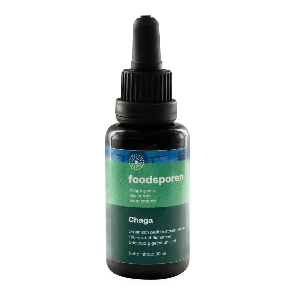 Tintura de hongo Chaga