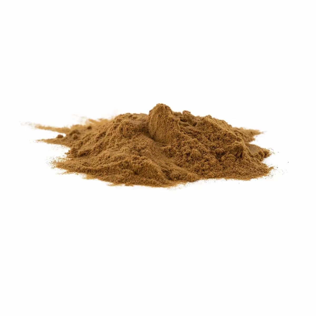 Extracto de Reishi (Ganoderma Lucidum)