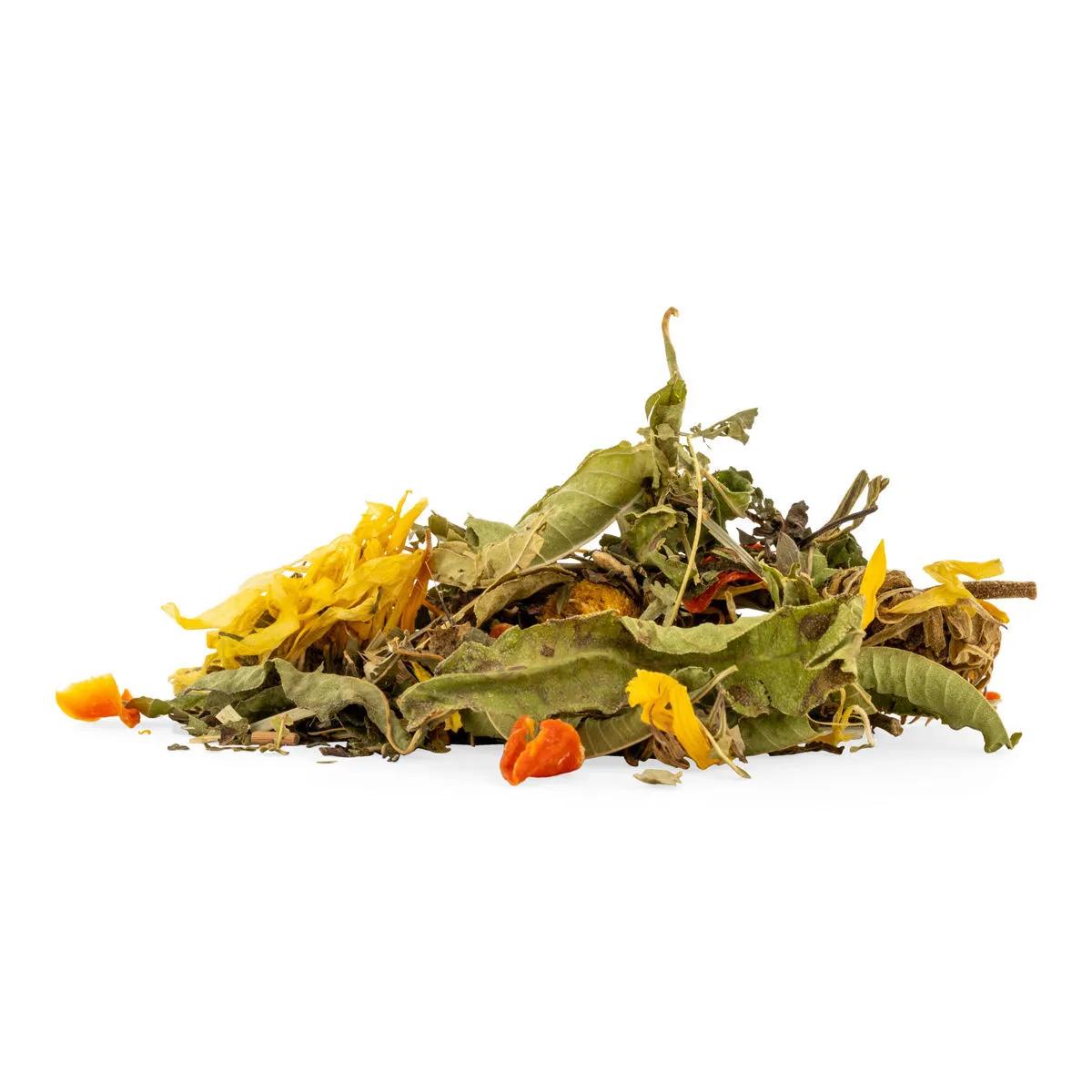 Té Fresh & Fitness