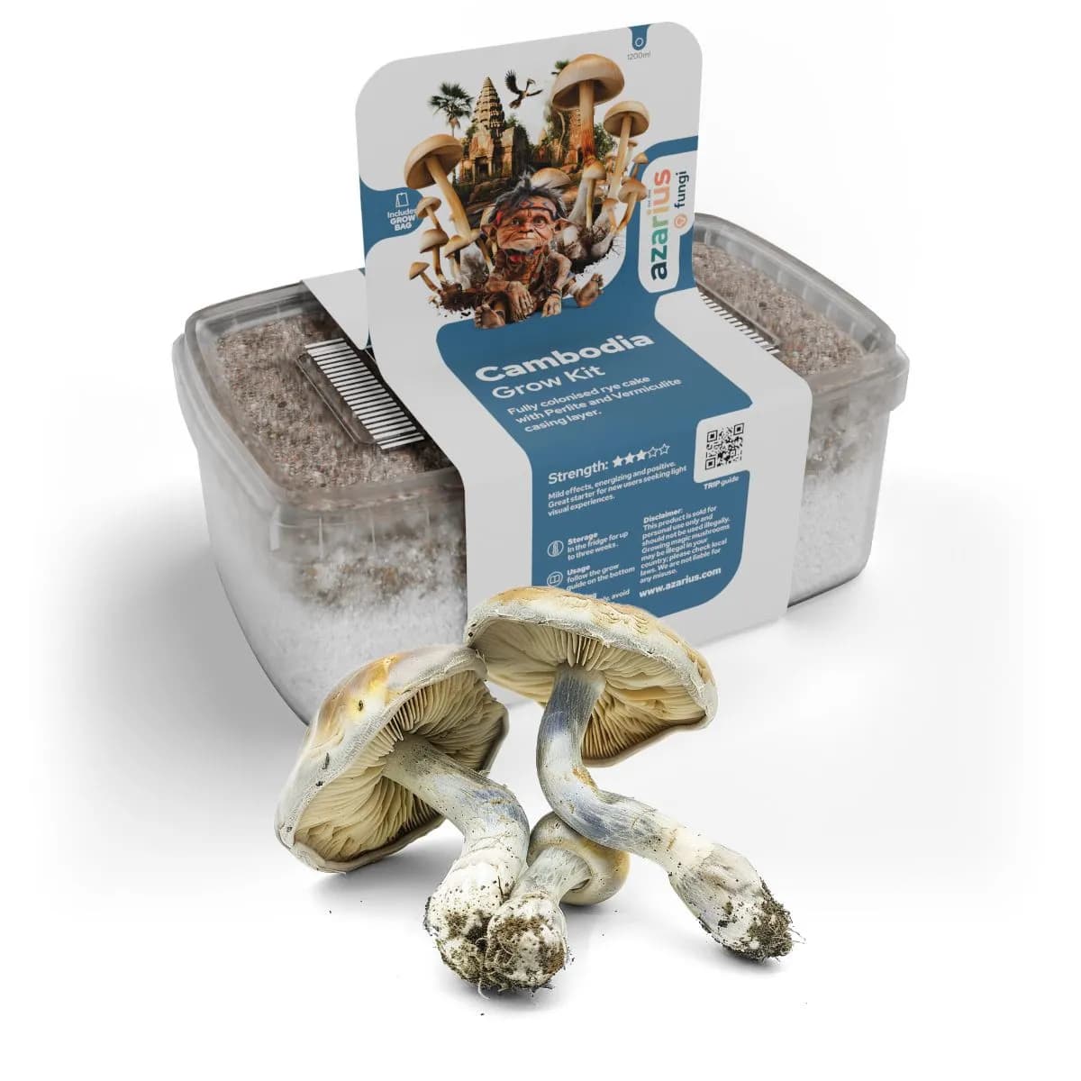 Kit de cultivo Cambodia