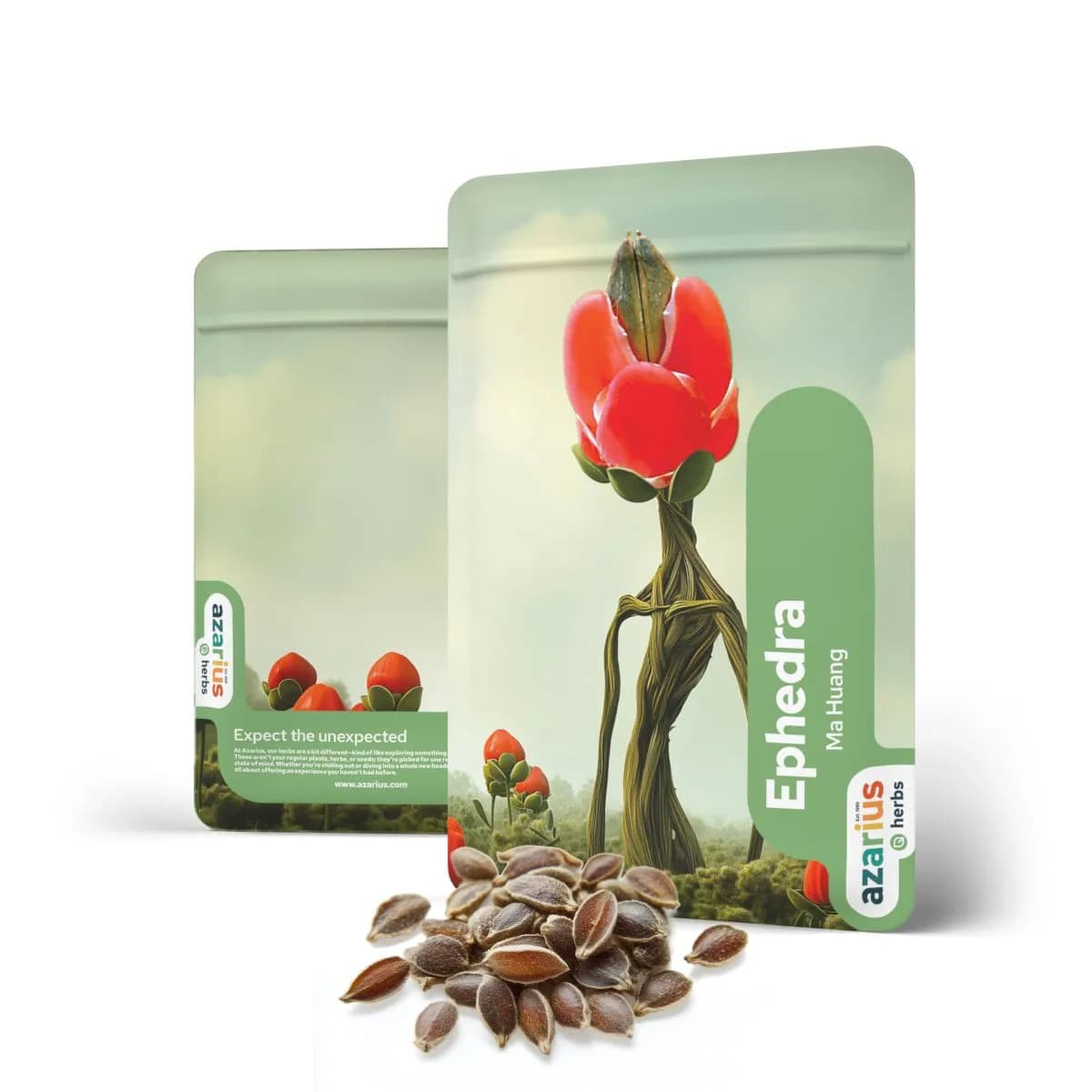 Semillas de Ephedra
