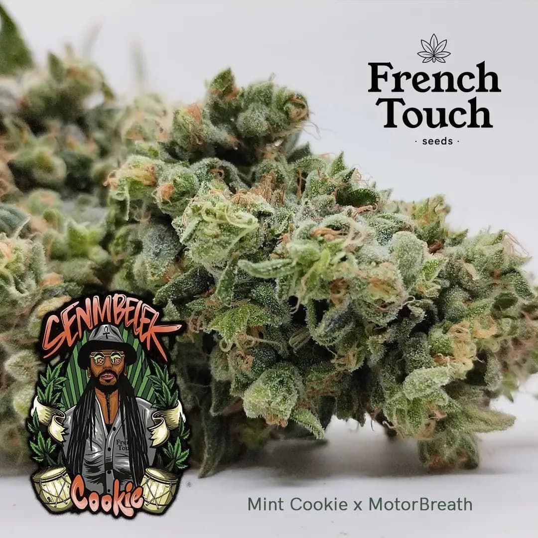 Senmbelek Cookie