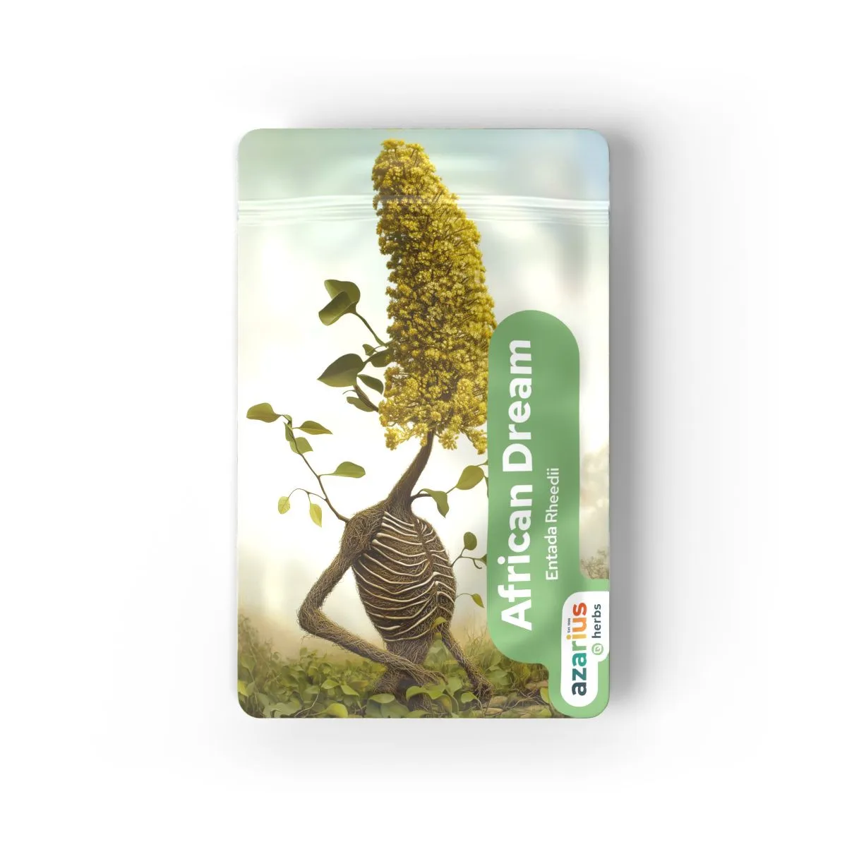 Semilla del sueño africano (Entada rheedii) — imagen 3