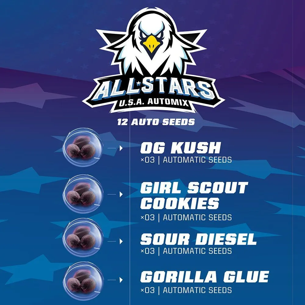 All Stars USA Automix — imagen 2