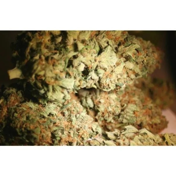 Atomical Haze — imagen 2