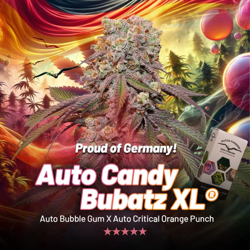 Auto Candy Bubatz XL — imagen 2