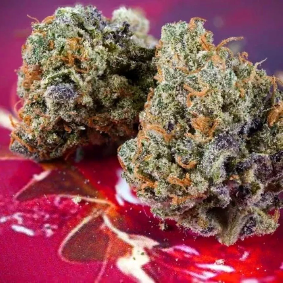 Auto Strawberry Soda — imagen 3
