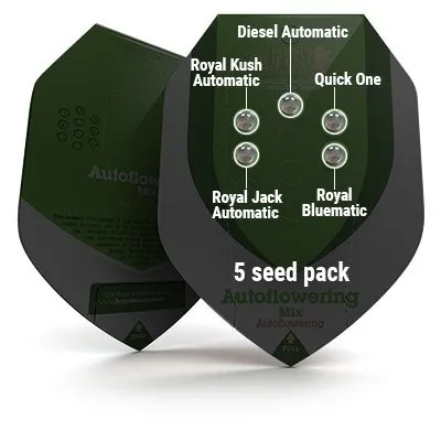 Autoflowering Mix — imagen 3