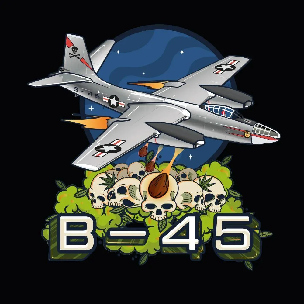 B-45 by Booba — imagen 2