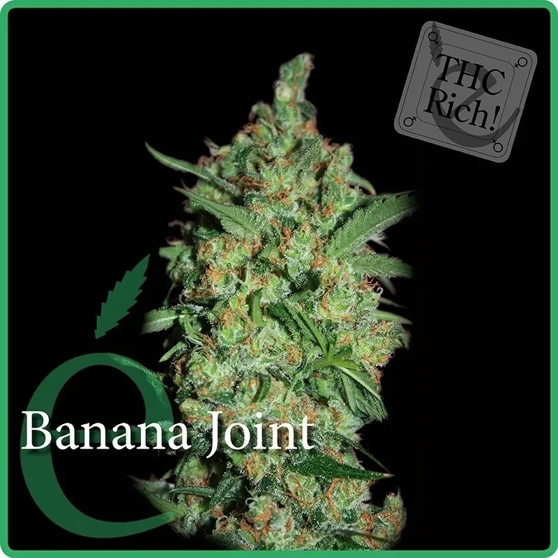 Banana Joint — imagen 2