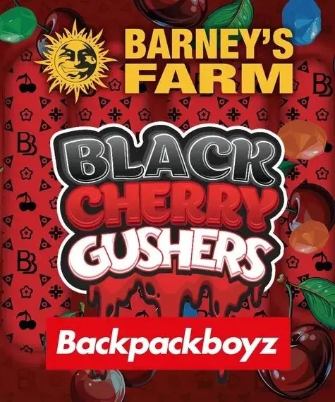 Black Cherry Gushers (Barney's Farm x Backpackboyz) — imagen 4
