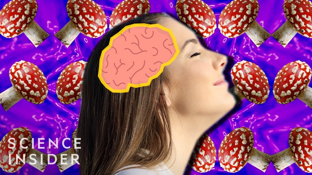 Ver: Setas mágicas y el cerebro en YouTube