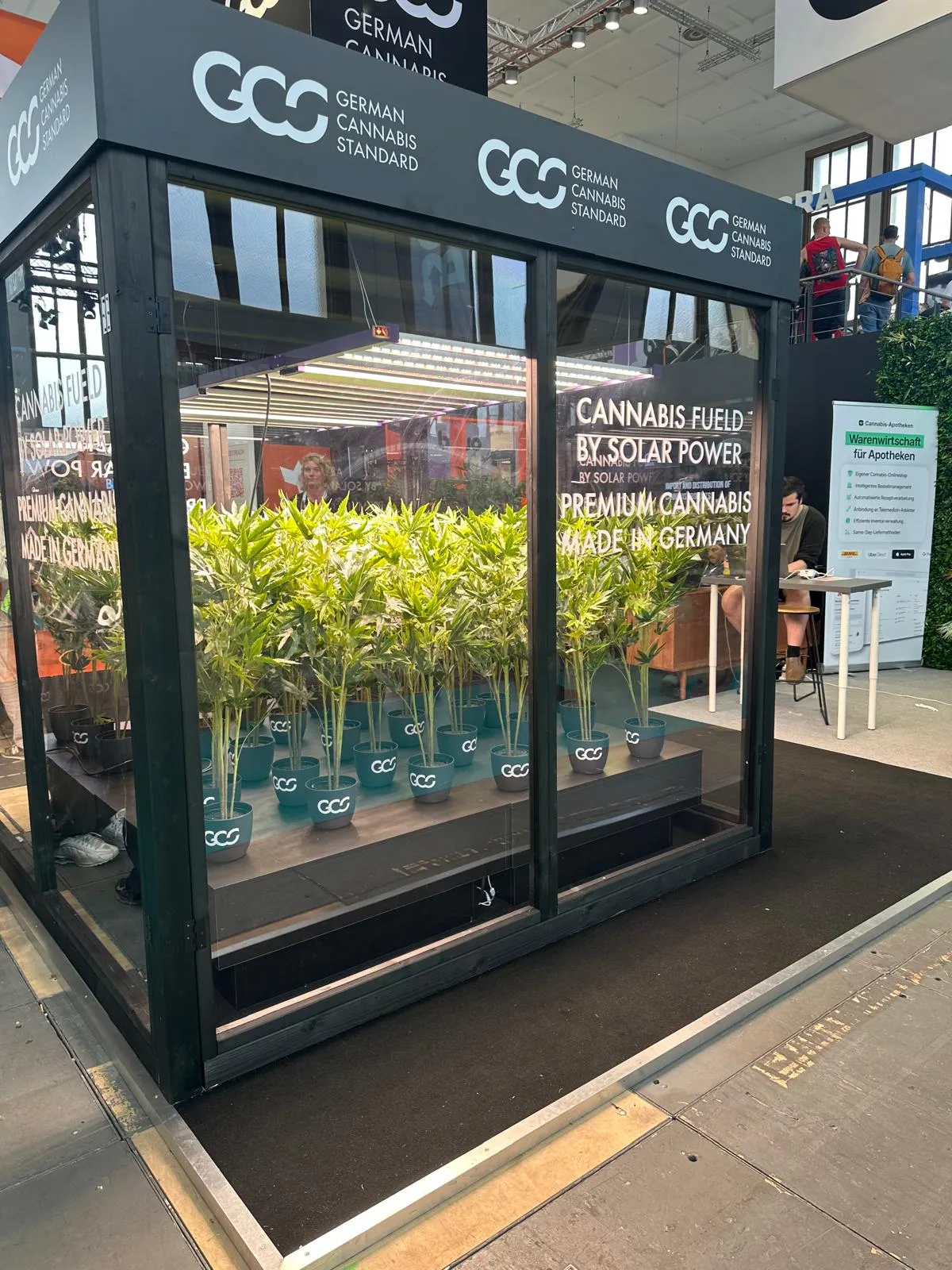 Invernadero de cristal de German Cannabis Standard con plantas de cannabis vivas en Mary Jane Berlin 2026