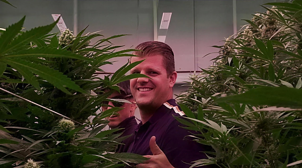 AZARIUS · Dentro de Inexo: donde se testean las genéticas de cannabis de verdad
