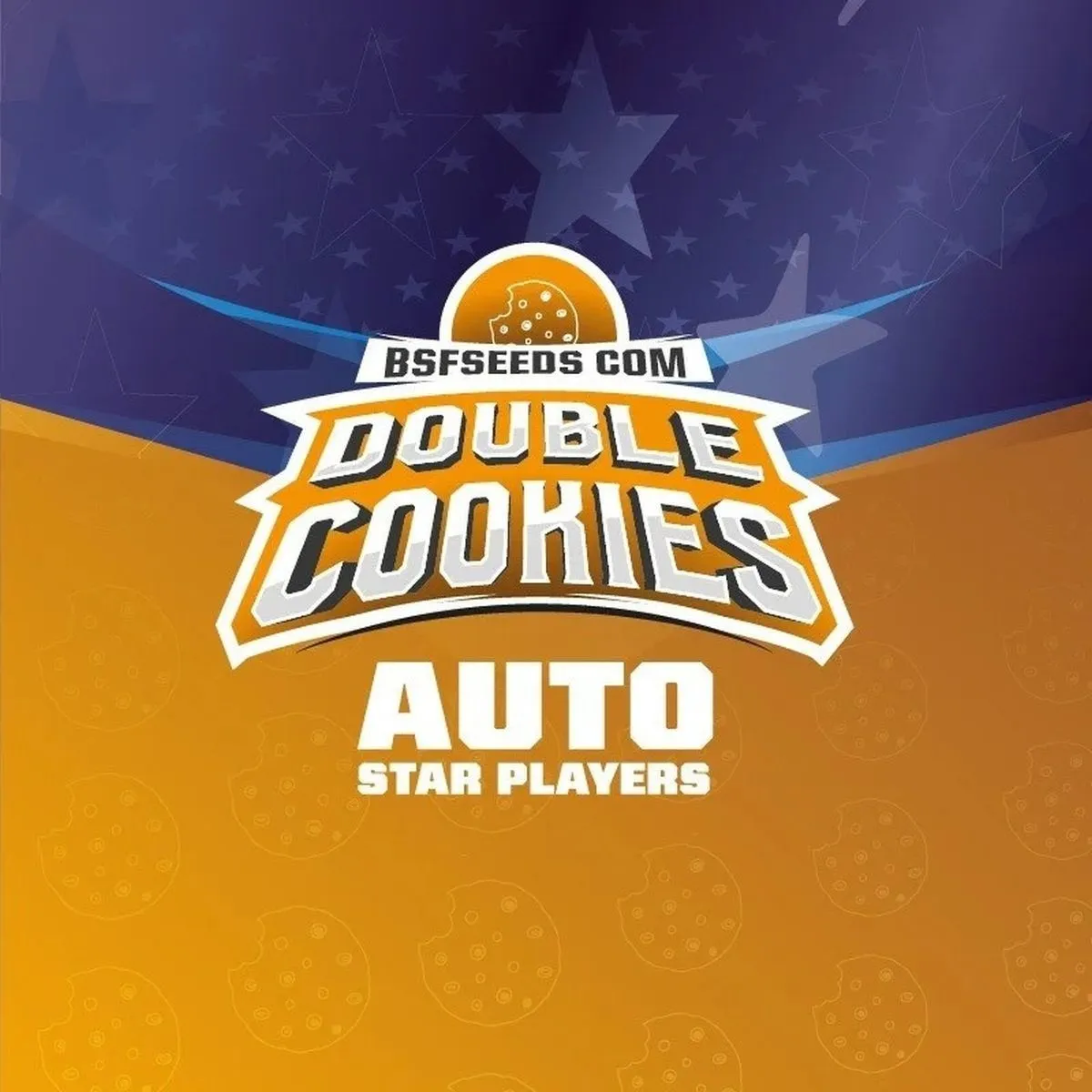 Double Cookies — imagen 2