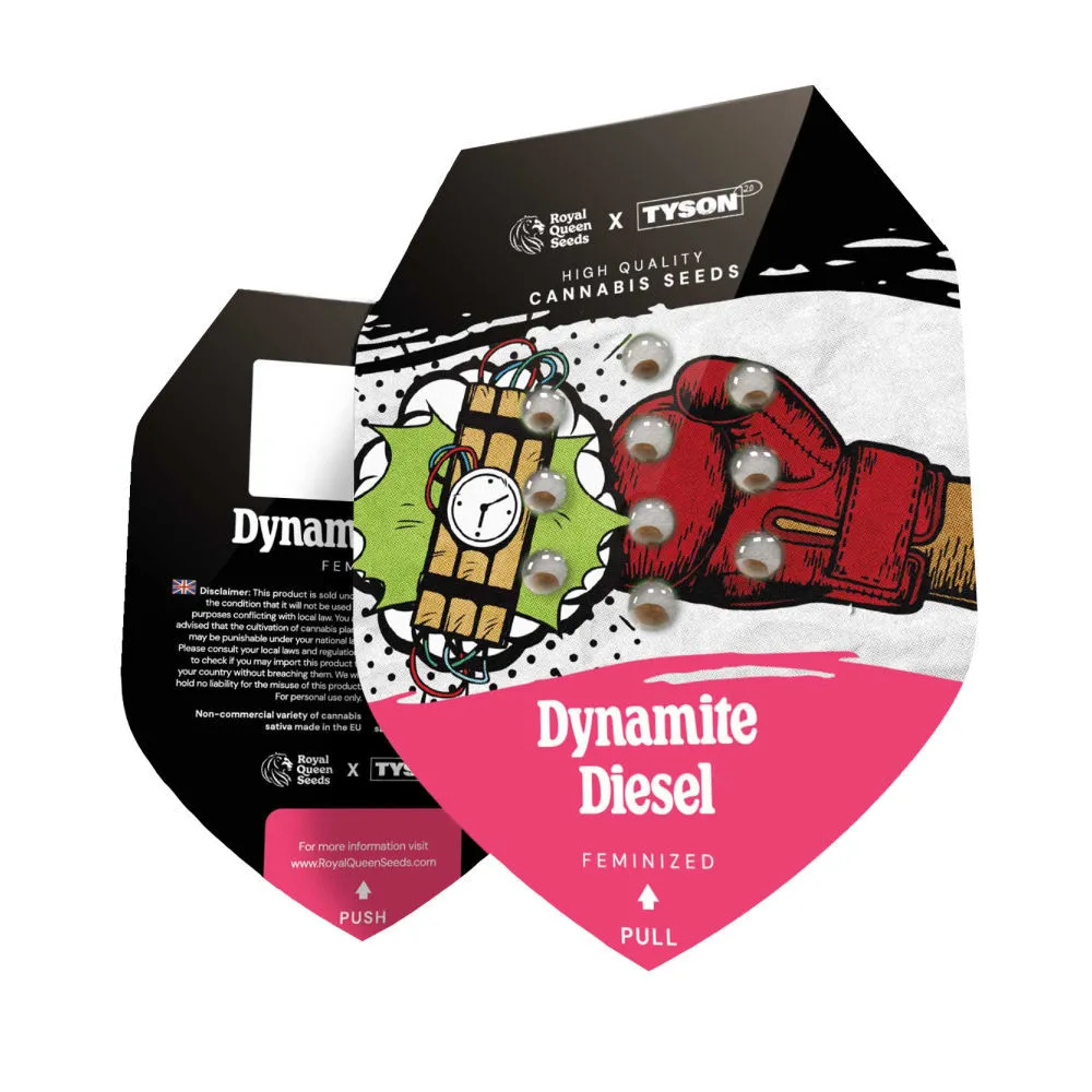 Dynamite Diesel — imagen 2