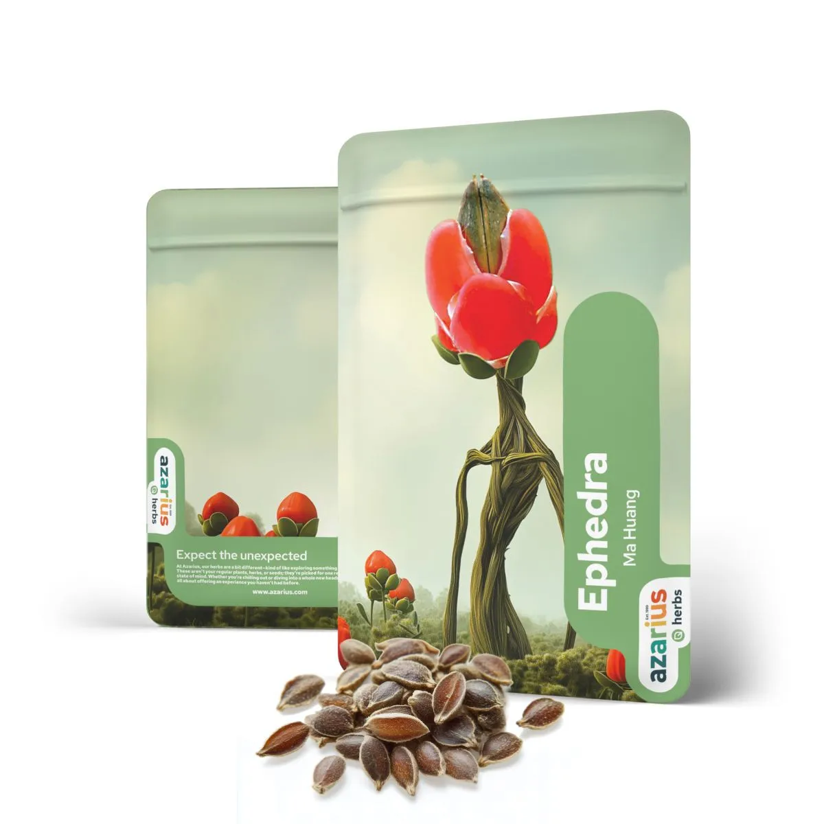 Semillas de Ephedra