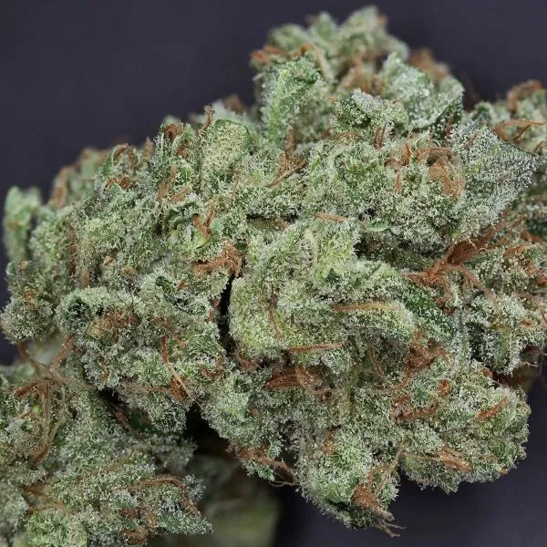 Ghost Train Haze 1 — imagen 3