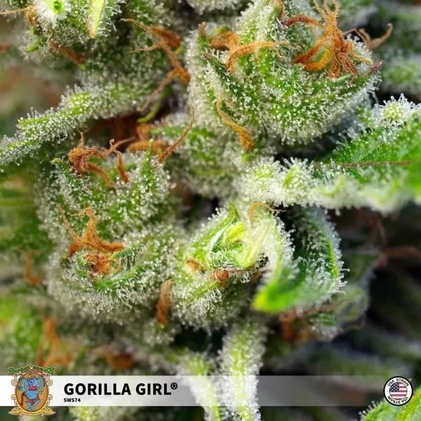 Gorilla Girl — imagen 2