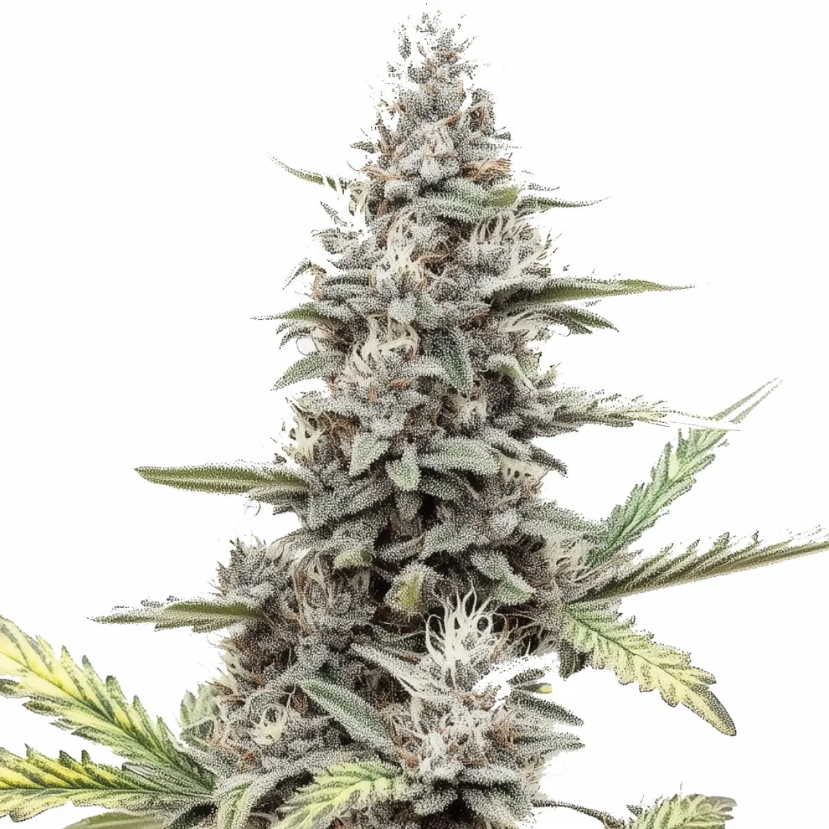 Green Poison — imagen 2