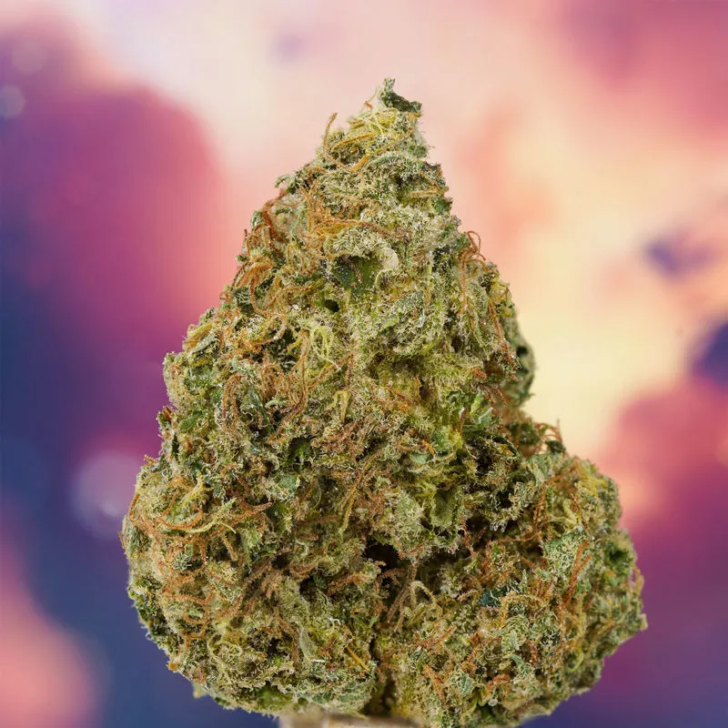 Ice Cream Haze — imagen 2