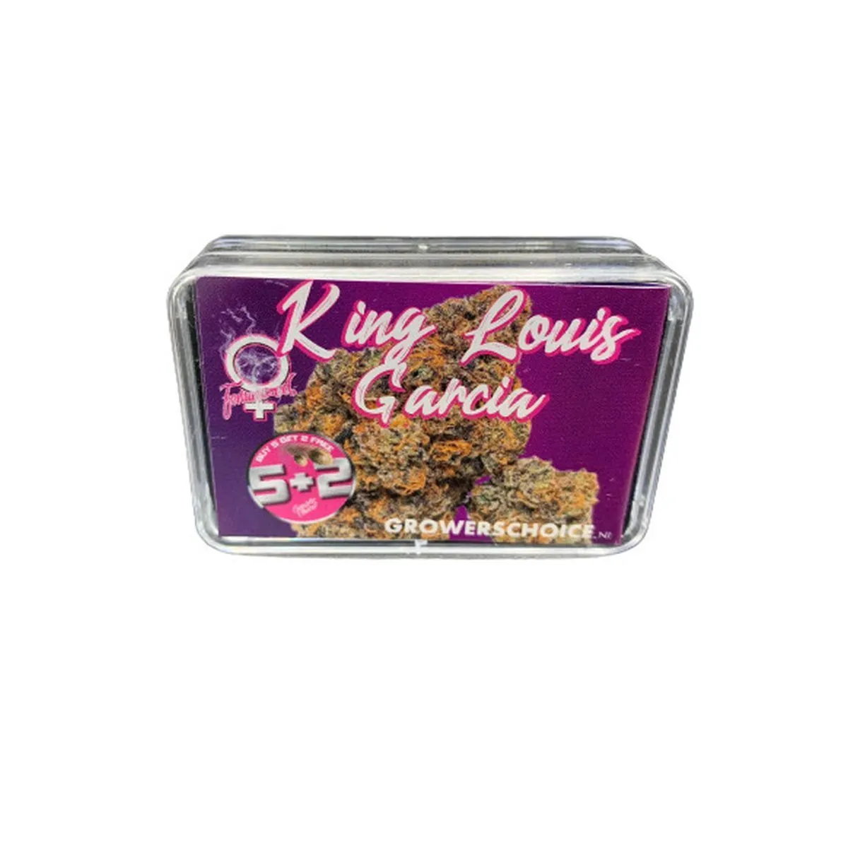 King Louis Garcia — imagen 2