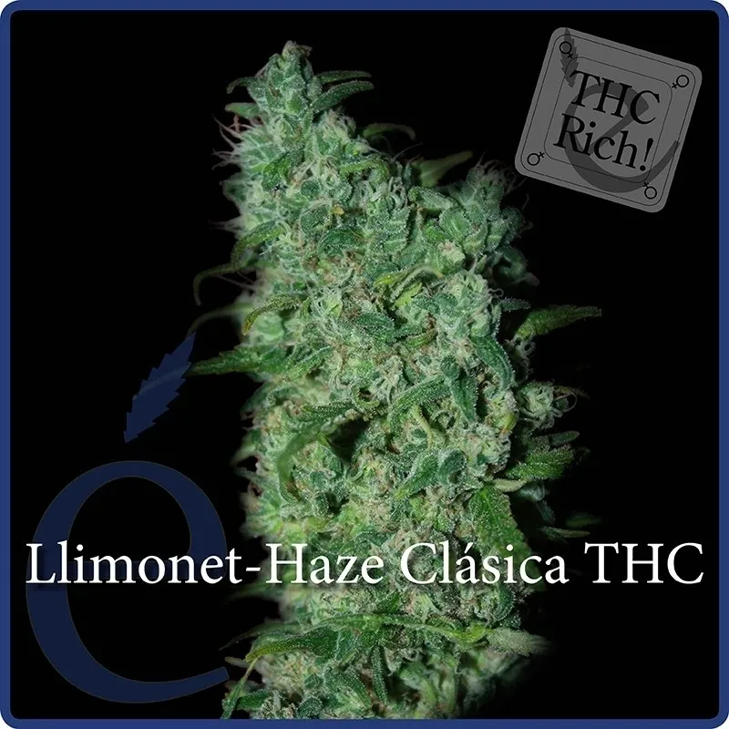 Llimonet Haze Classic THC — imagen 2
