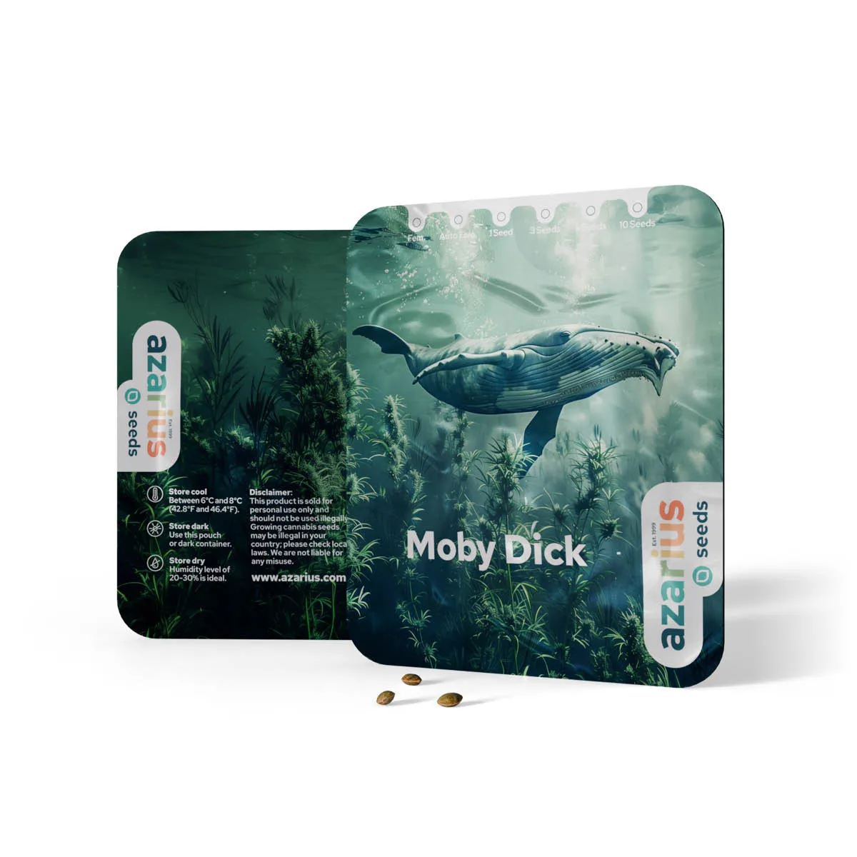 Moby Dick Auto — imagen 3