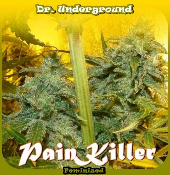 PainKiller — imagen 2