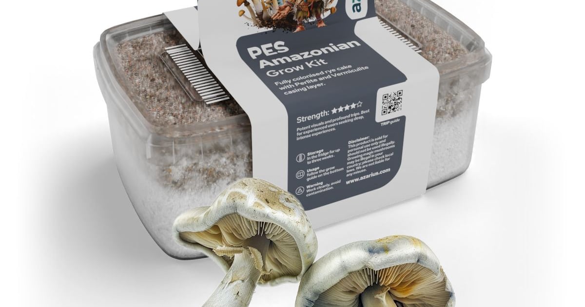 PES Amazonian Grow Kit — Cultivo Psilocybe cubensis | Azarius