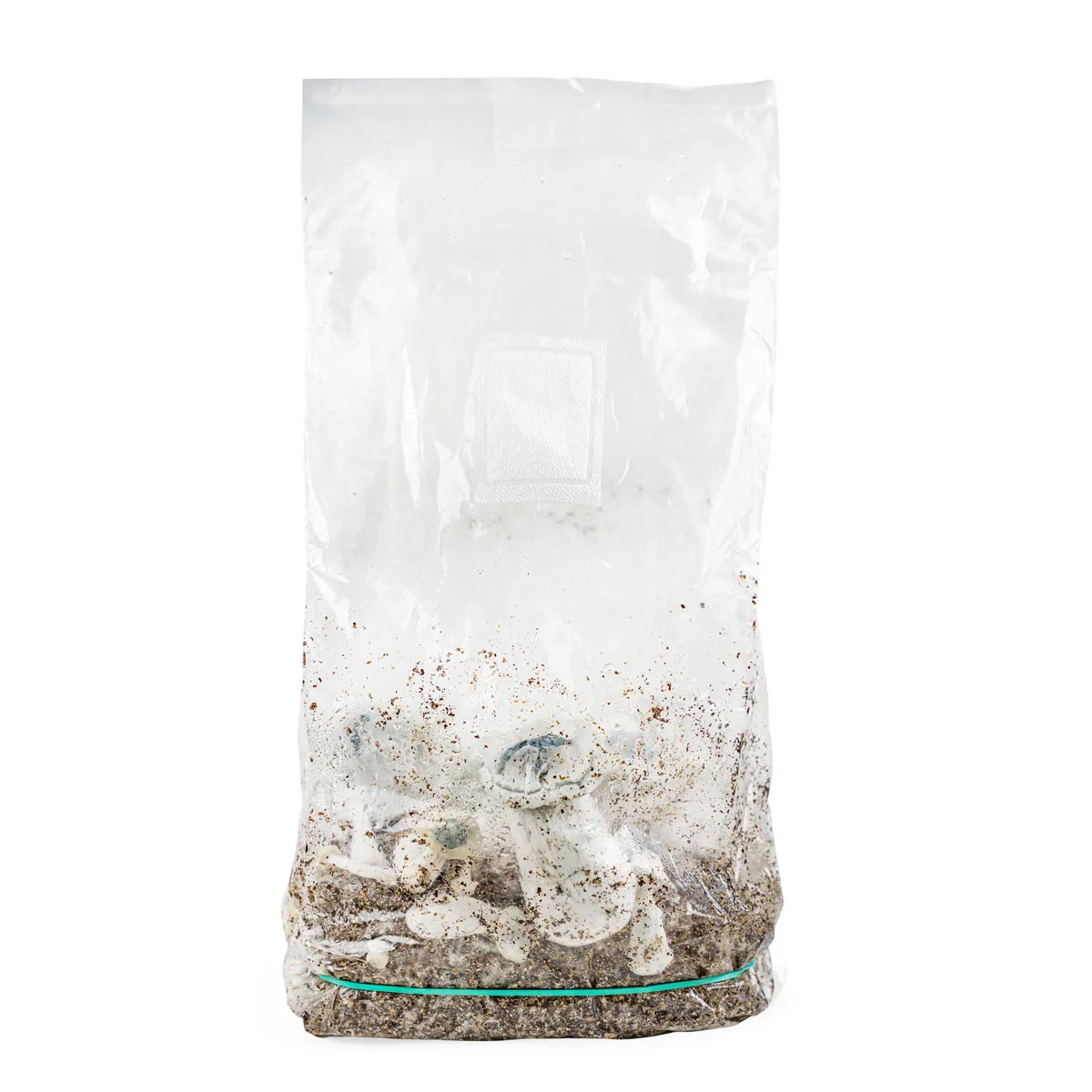 Bolsa Ready-2-Grow 'APE' — imagen 3