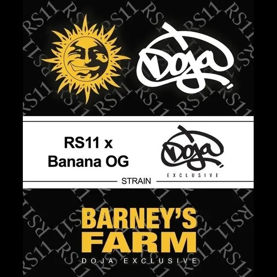 RS11 x Banana OG — imagen 2