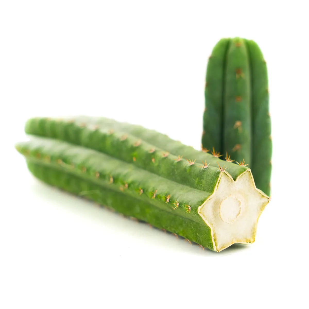 San Pedro — imagen 2