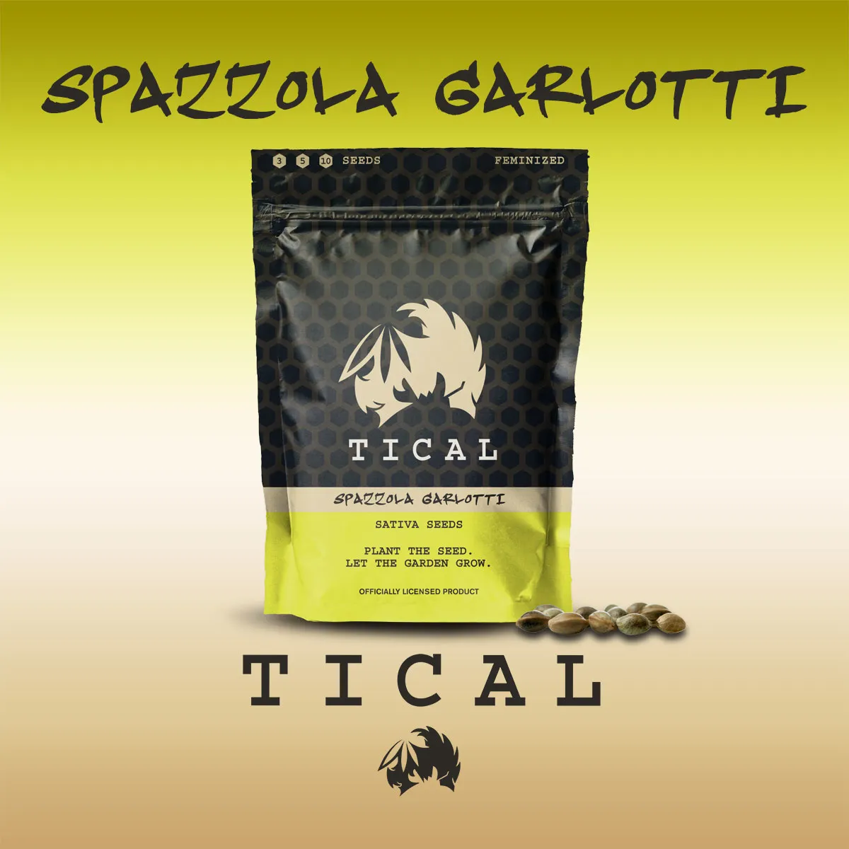 Spazzola Garletti (TICAL) — imagen 2
