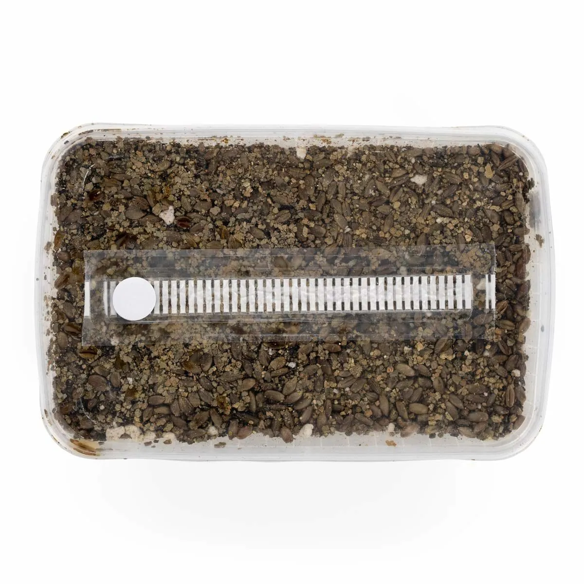 Kit de sustrato esterilizado — imagen 2
