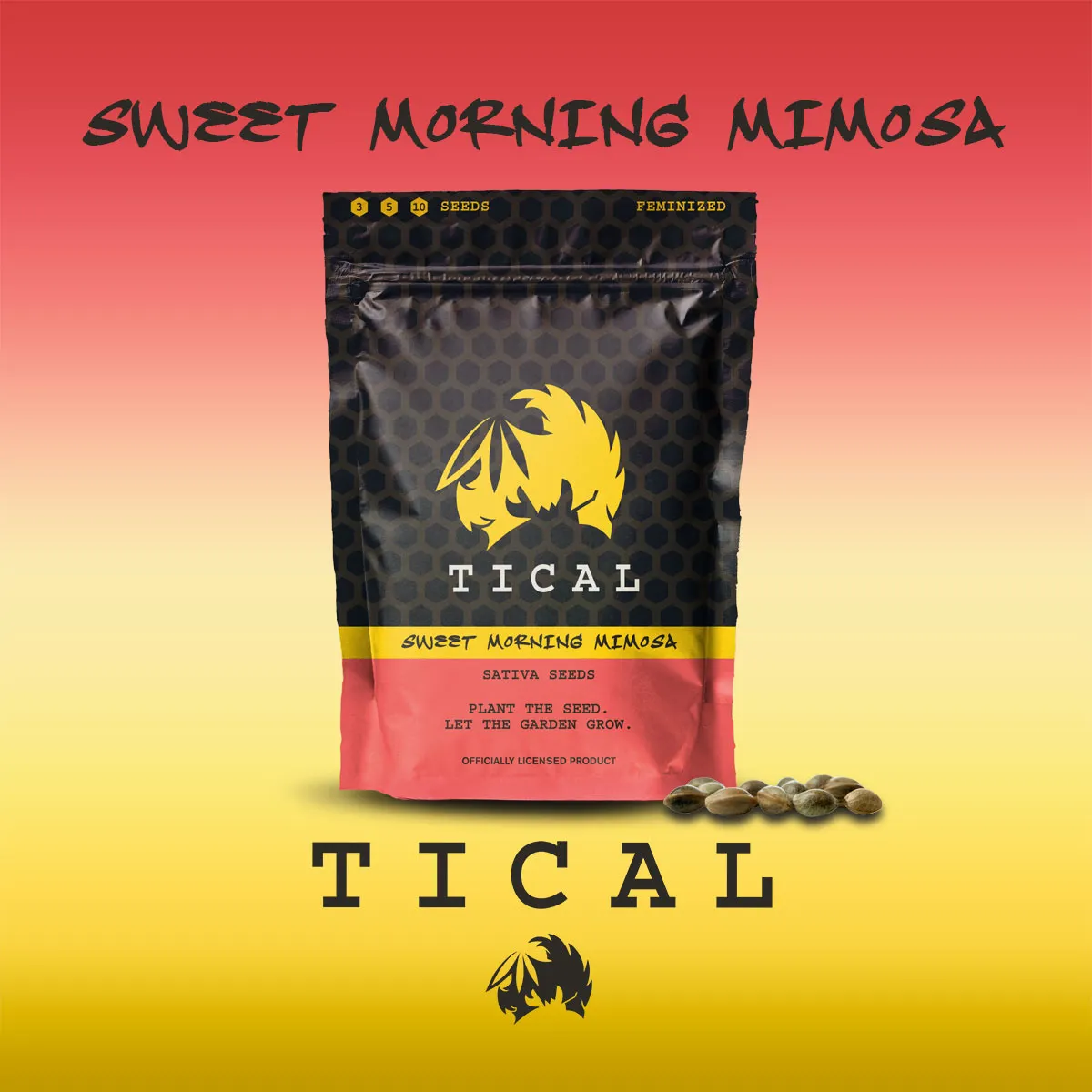 Sweet Morning Mimosa (TICAL) — imagen 2