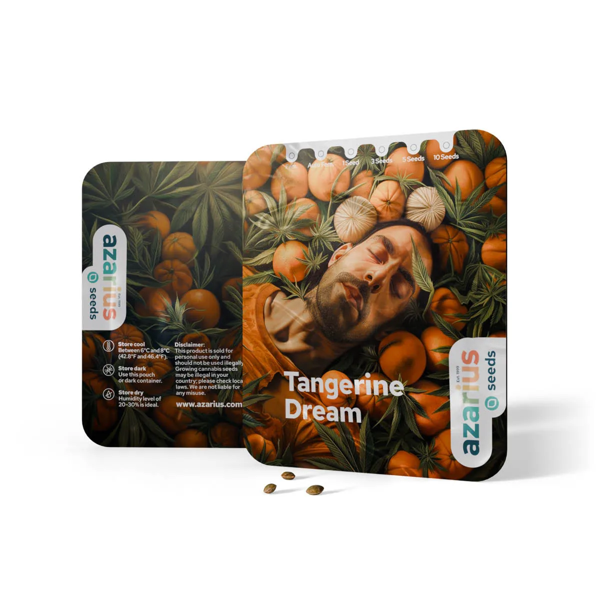 Tangerine Dream Auto — imagen 3